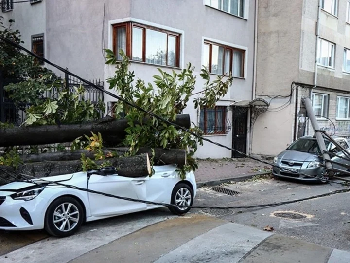 Bursa’da lodos nedeniyle ağaç ve elektrik direği araçların üzerine devrildi