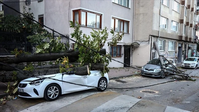 Bursa’da lodos nedeniyle ağaç ve elektrik direği araçların üzerine devrildi